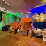 IMG_20240525_002424_096