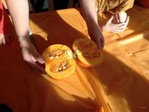 IMG_20221028_105539_680