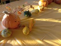 IMG_20221028_091216_416