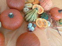 IMG_20221028_111956_671