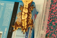 O hodowli zwierząt egzotycznych - Współpraca z Rodzicami