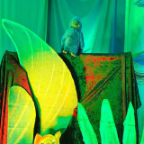 IMG_5280