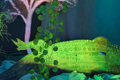 Spektakl teatralny „Królestwo na jednej nodze”